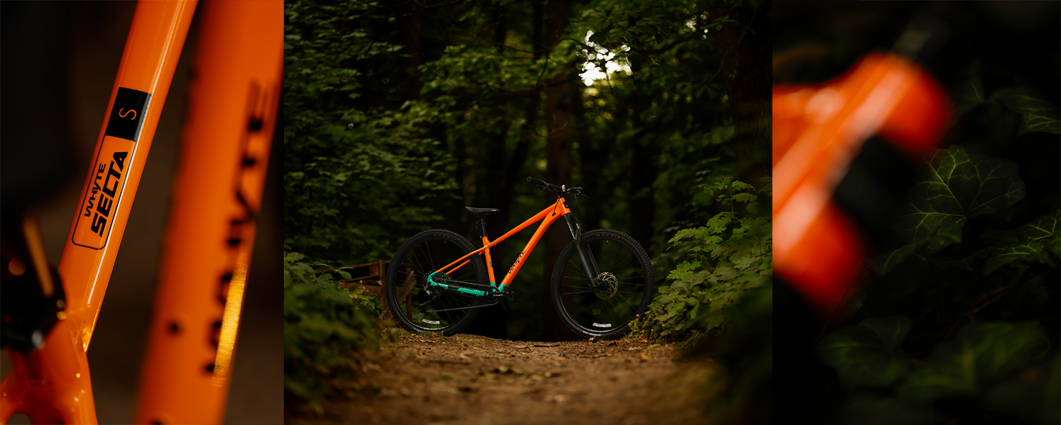 Whyte blog 2